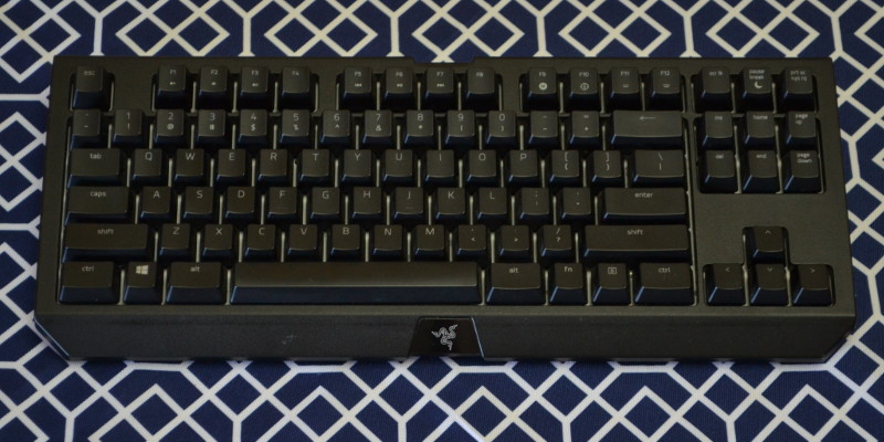 Razer Blackwidow keyboard.